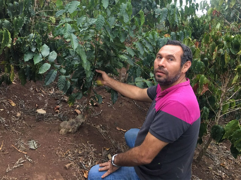 Coffee Farm Guatemala Origin Trip